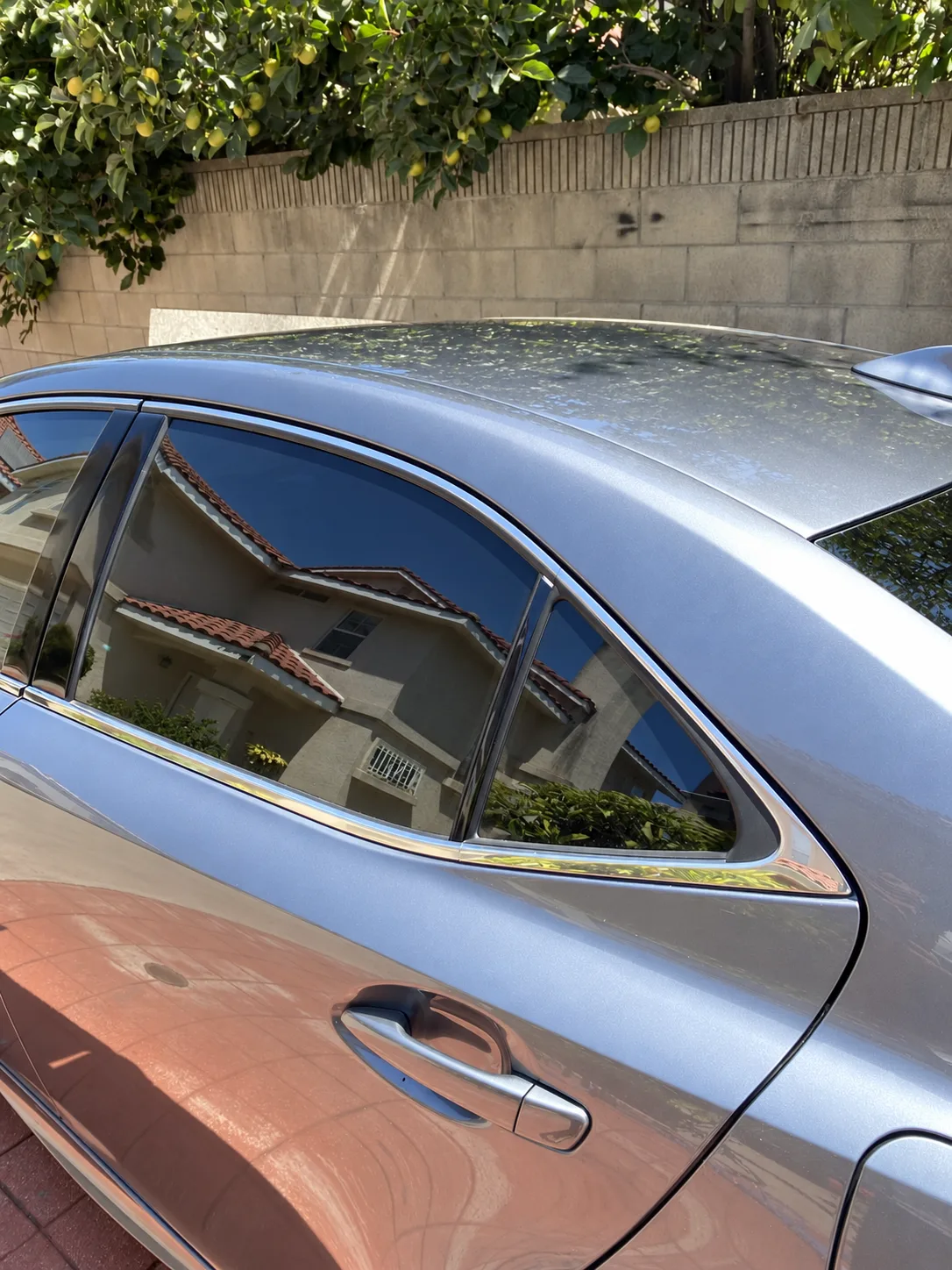 After — Grey sedan rear quarter panel and roof — dust film and dull paint, then a clear gloss reflecting the trees