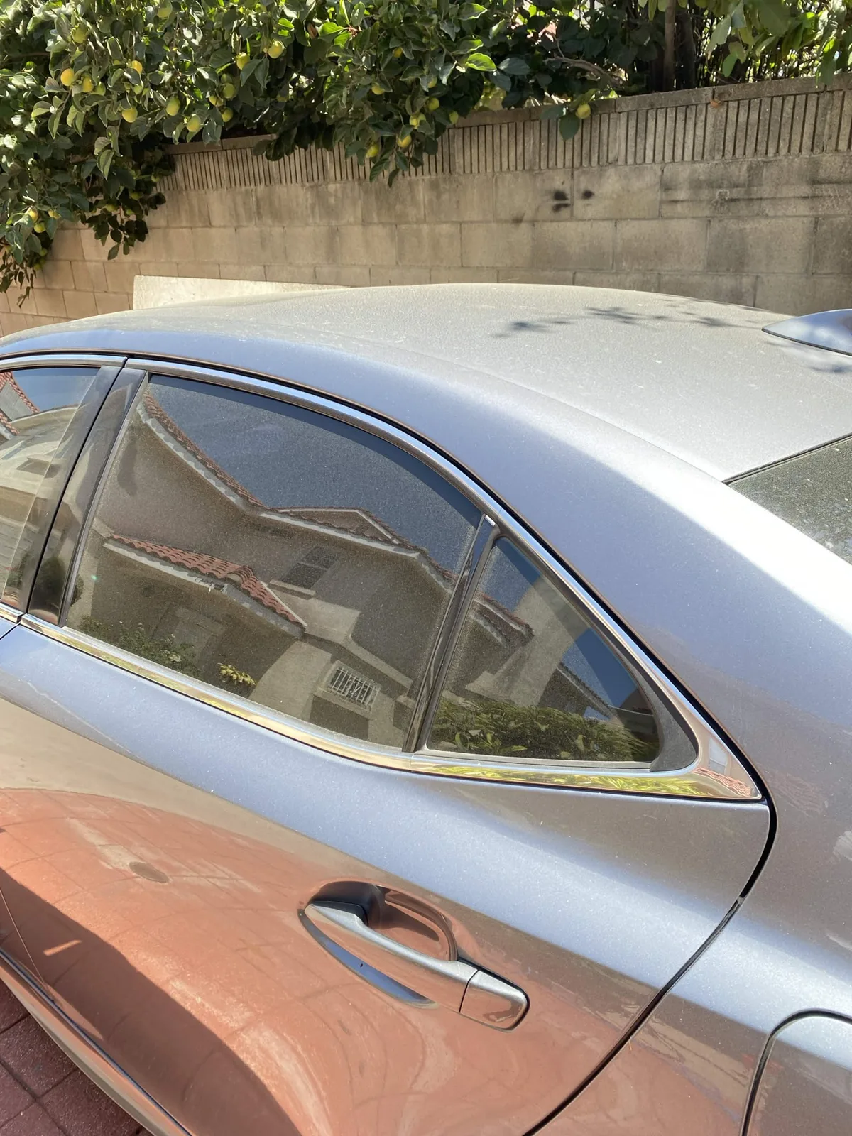 Before — Grey sedan rear quarter panel and roof — dust film and dull paint, then a clear gloss reflecting the trees